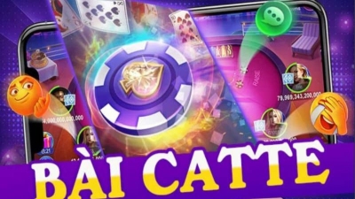 Game bài catte: Hướng dẫn cách chơi để trở thành cao thủ